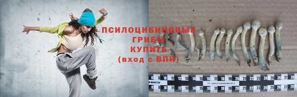 стафф Рославль