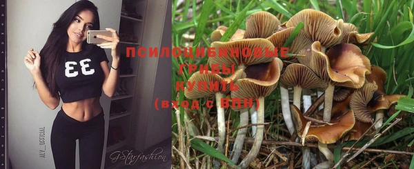 ешки Абдулино