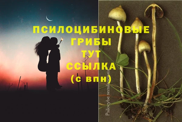 метадон Ростов